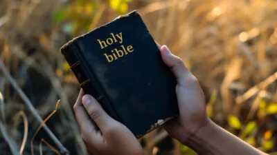 Large Vecteezy Ai Generated Bible In The Hands On A Background Of Dry Grass 37823078 Large